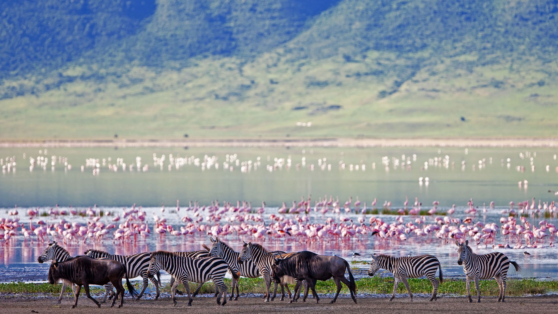 3 Days Serengeti & Ngorongoro Crater Safari